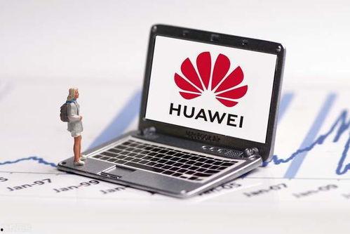 国产福利1000,1000项福利政策全面解读 第3张 国产福利1000,1000项福利政策全面解读 第3张